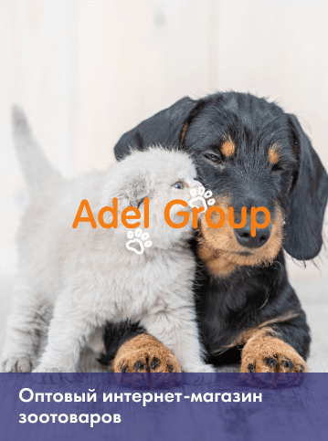 ADEL GROUP